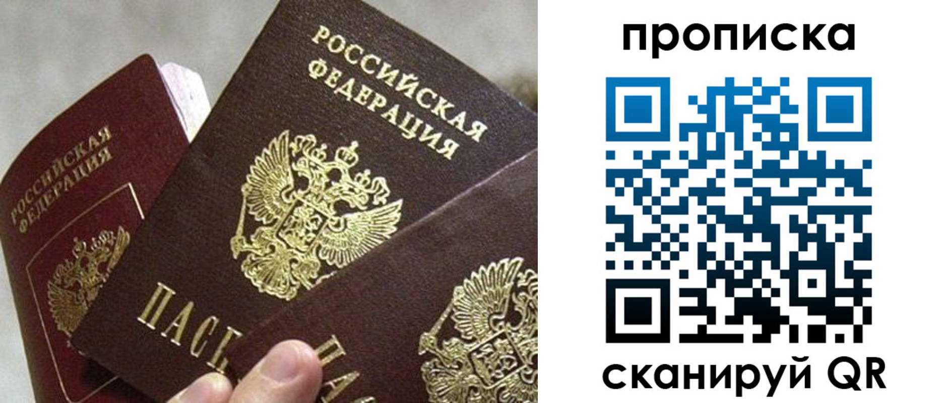 прописка в Смоленске